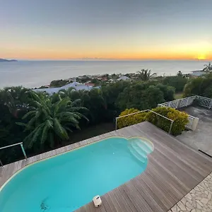 Magnifique Collinos Avec Piscine Et Jardin Schoelcher